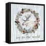 Joy to the World-Lanie Loreth-Framed Stretched Canvas