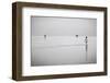 Joy-Yavuz Pancareken-Framed Photographic Print