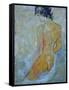 Joy-Pol Ledent-Framed Stretched Canvas