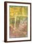 Brown Frame