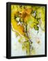Essential Black