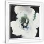 Gramercy White