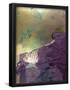 Essential Black
