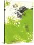 Stretched Canvas