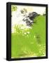 Essential Black