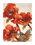 Poppies II-Joyce H^ Kamikura-Stretched Canvas