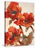 Poppies II-Joyce H^ Kamikura-Stretched Canvas