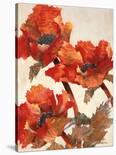 Poppies I-Joyce H^ Kamikura-Stretched Canvas