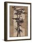 Joyful Bamboo-Bella Dos Santos-Framed Art Print