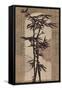 Joyful Bamboo-Bella Dos Santos-Framed Stretched Canvas