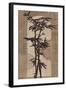 Joyful Bamboo-Bella Dos Santos-Framed Art Print