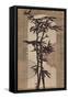 Joyful Bamboo-Bella Dos Santos-Framed Stretched Canvas