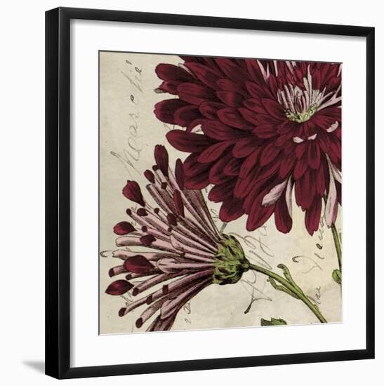 Joyful Bloom II-Sabine Berg-Framed Art Print