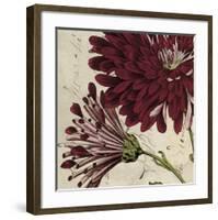 Joyful Bloom II-Sabine Berg-Framed Art Print