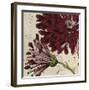 Joyful Bloom II-Sabine Berg-Framed Art Print