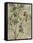 Joyful Garden II-Chariklia Zarris-Framed Stretched Canvas