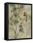 Joyful Garden II-Chariklia Zarris-Framed Stretched Canvas