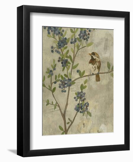 Joyful Garden II-Chariklia Zarris-Framed Art Print