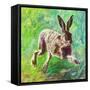 Joyful hare, 2011,-Helen White-Framed Stretched Canvas