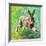 Joyful hare, 2011,-Helen White-Framed Giclee Print