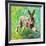 Joyful hare, 2011,-Helen White-Framed Giclee Print