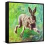 Joyful hare, 2011,-Helen White-Framed Stretched Canvas