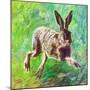 Joyful Hare, 2011-Helen White-Mounted Giclee Print
