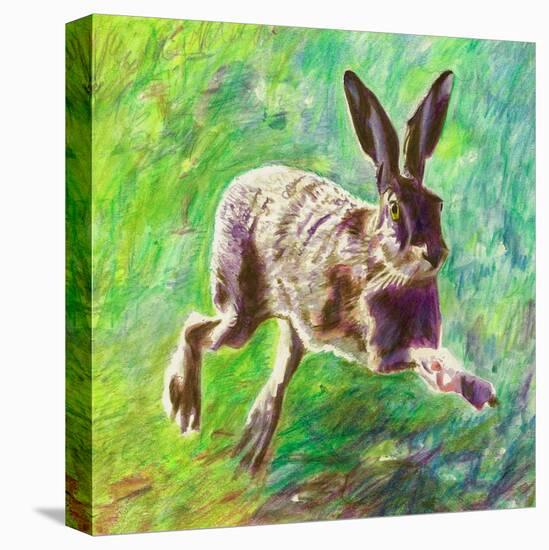 Joyful Hare, 2011-Helen White-Stretched Canvas