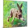 Joyful Hare, 2011-Helen White-Mounted Giclee Print