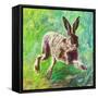 Joyful Hare, 2011-Helen White-Framed Stretched Canvas