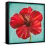 Joyful Hibiscus-Patricia Pinto-Framed Stretched Canvas