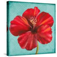 Joyful Hibiscus-Patricia Pinto-Stretched Canvas