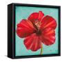 Joyful Hibiscus-Patricia Pinto-Framed Stretched Canvas