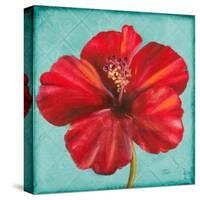 Joyful Hibiscus-Patricia Pinto-Stretched Canvas