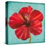 Joyful Hibiscus-Patricia Pinto-Stretched Canvas