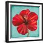 Joyful Hibiscus-Patricia Pinto-Framed Art Print