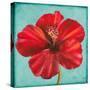 Joyful Hibiscus-Patricia Pinto-Stretched Canvas