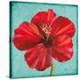 Joyful Hibiscus-Patricia Pinto-Stretched Canvas