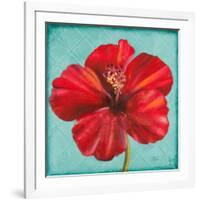 Joyful Hibiscus-Patricia Pinto-Framed Art Print