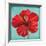 Joyful Hibiscus-Patricia Pinto-Framed Art Print