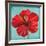 Joyful Hibiscus-Patricia Pinto-Framed Art Print