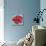 Joyful Hibiscus-Patricia Pinto-Premium Giclee Print displayed on a wall