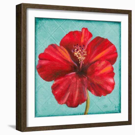 Joyful Hibiscus-Patricia Pinto-Framed Premium Giclee Print