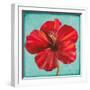 Joyful Hibiscus-Patricia Pinto-Framed Premium Giclee Print