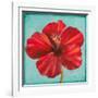 Joyful Hibiscus-Patricia Pinto-Framed Art Print