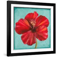 Joyful Hibiscus-Patricia Pinto-Framed Art Print