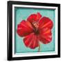 Joyful Hibiscus-Patricia Pinto-Framed Art Print