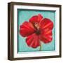 Joyful Hibiscus-Patricia Pinto-Framed Art Print