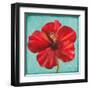 Joyful Hibiscus-Patricia Pinto-Framed Art Print
