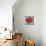 Joyful Hibiscus-Patricia Pinto-Mounted Art Print displayed on a wall